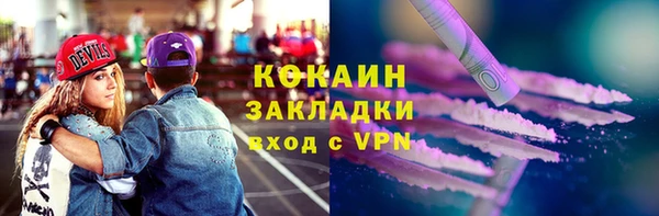 ПСИЛОЦИБИНОВЫЕ ГРИБЫ Богданович
