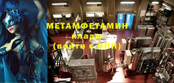 ПСИЛОЦИБИНОВЫЕ ГРИБЫ Богданович